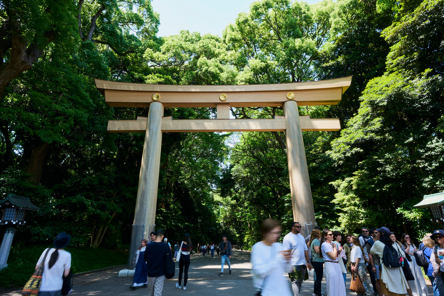 Tokyo: Meiji Shrine Walking Tour — Shinto & Imperial System