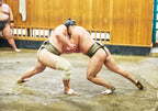 Tokyo: Sumo Morning Practice Viewing Tour at a Real Stable
