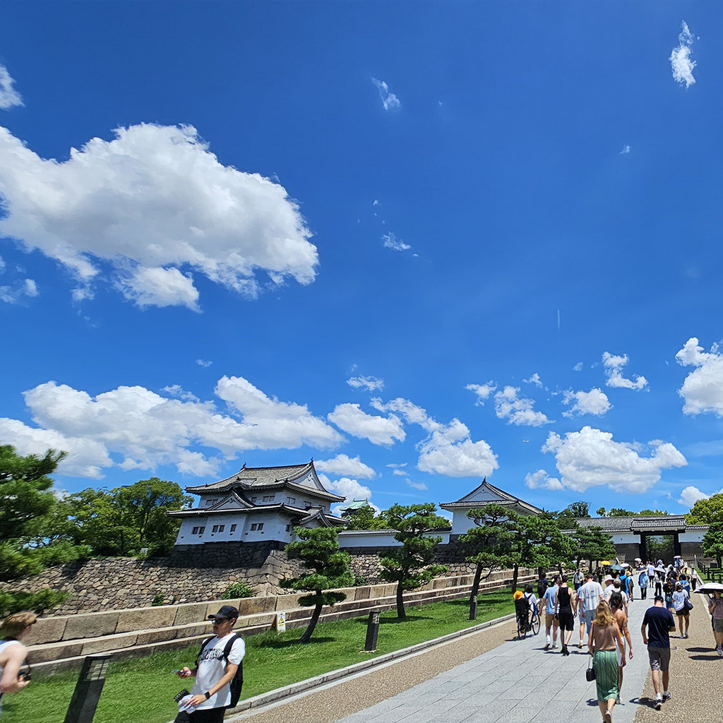 Osaka: Recorrido a pie por la historia del castillo / Entrada a la torre del castillo
