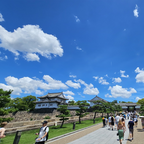 Osaka: Recorrido a pie por la historia del castillo / Entrada a la torre del castillo