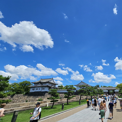 Osaka: Castle History Walking Tour / Castle Tower Admission
