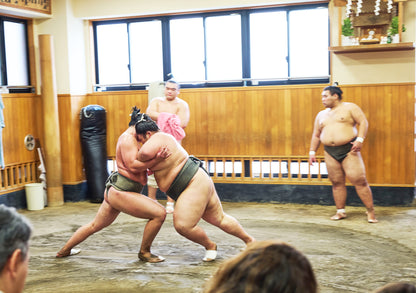 Tokyo: Sumo Morning Practice Viewing Tour at a Real Stable