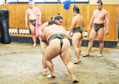Tokyo: Sumo Morning Practice Viewing Tour at a Real Stable