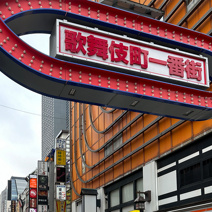 Tokyo: Shinjuku Nightlife & Secret Backstreets Walking Tour