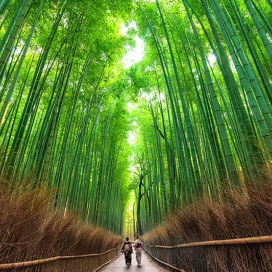 Para: Sra. Catharine Crackel Visita guiada personalizada