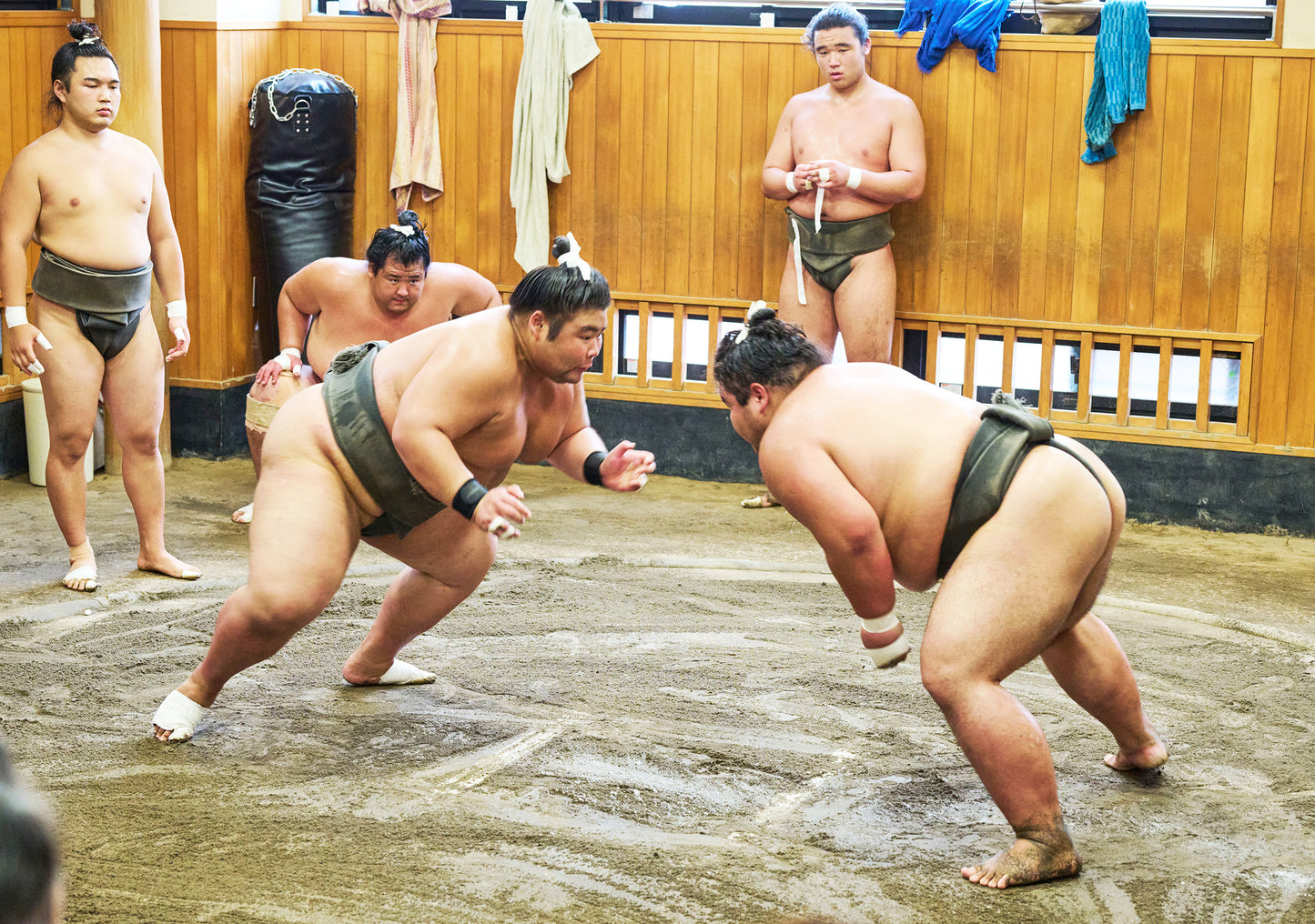 Tokyo: Sumo Morning Practice Viewing Tour at a Real Stable