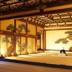 Kyoto: Nijo Castle UNESCO Site Guided Walking Tour