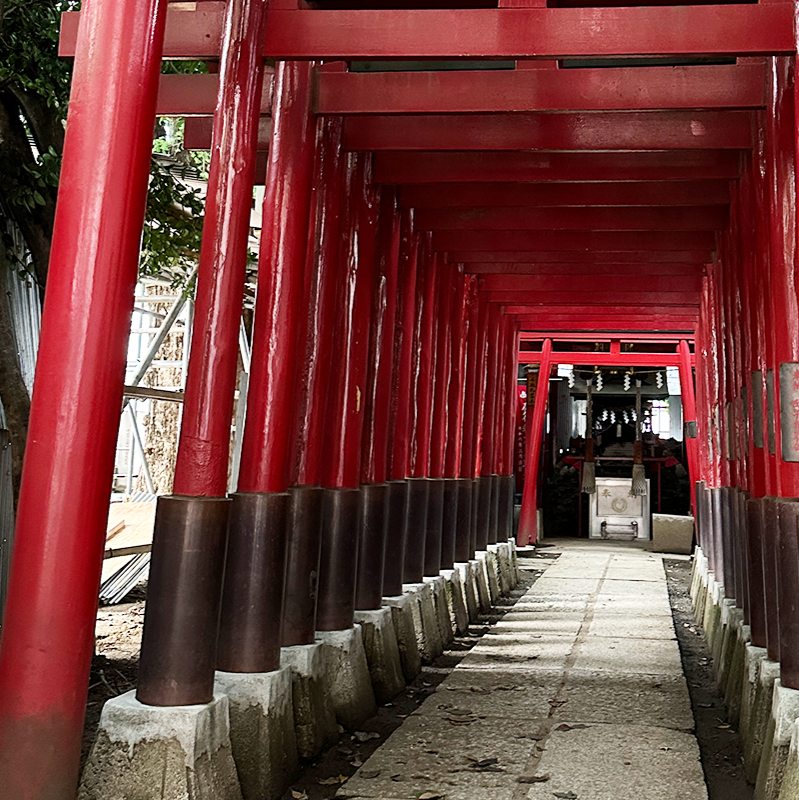 Tokyo: Shinjuku Nightlife & Secret Backstreets Walking Tour