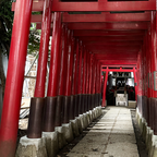 Tokyo: Shinjuku Nightlife & Secret Backstreets Walking Tour