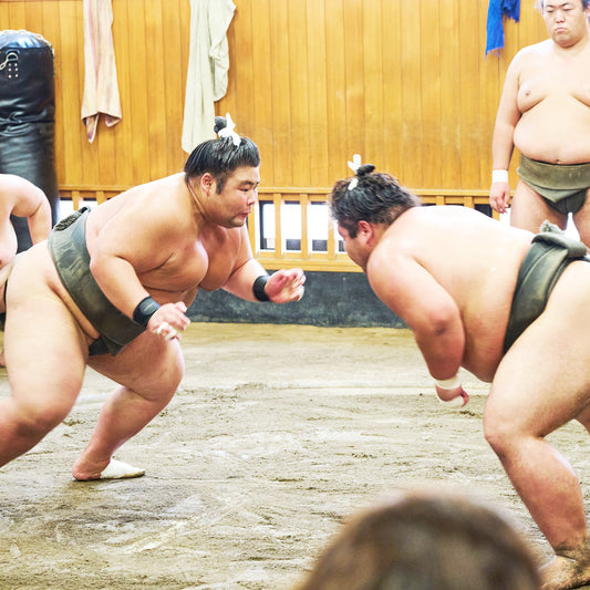 Tokyo: Sumo Morning Practice Viewing Tour at a Real Stable