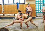 April 17 – 8 guests – Sumo Morning Practice Viewing Tour