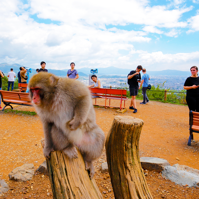 Kyoto: Arashiyama Chopstick-Making Workshop & Cultural Insights