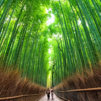 京都：嵐山箸作り体​​験と文化体験