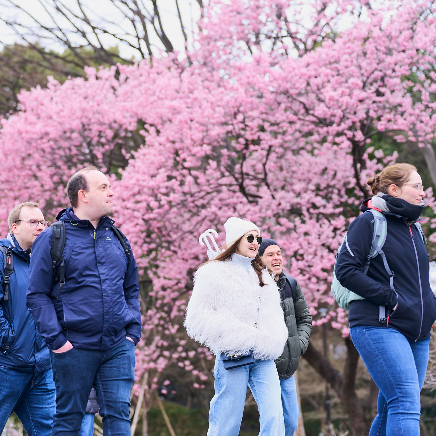Tokyo Castle & Imperial PalaceーShogun Walking Tour
