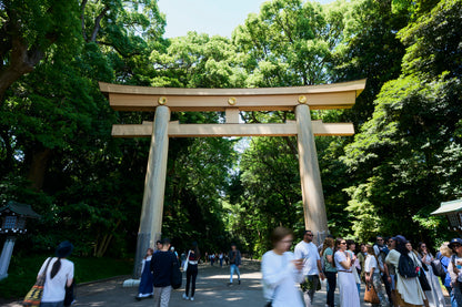 Tokyo: Meiji Shrine Walking Tour — Shinto & Imperial System