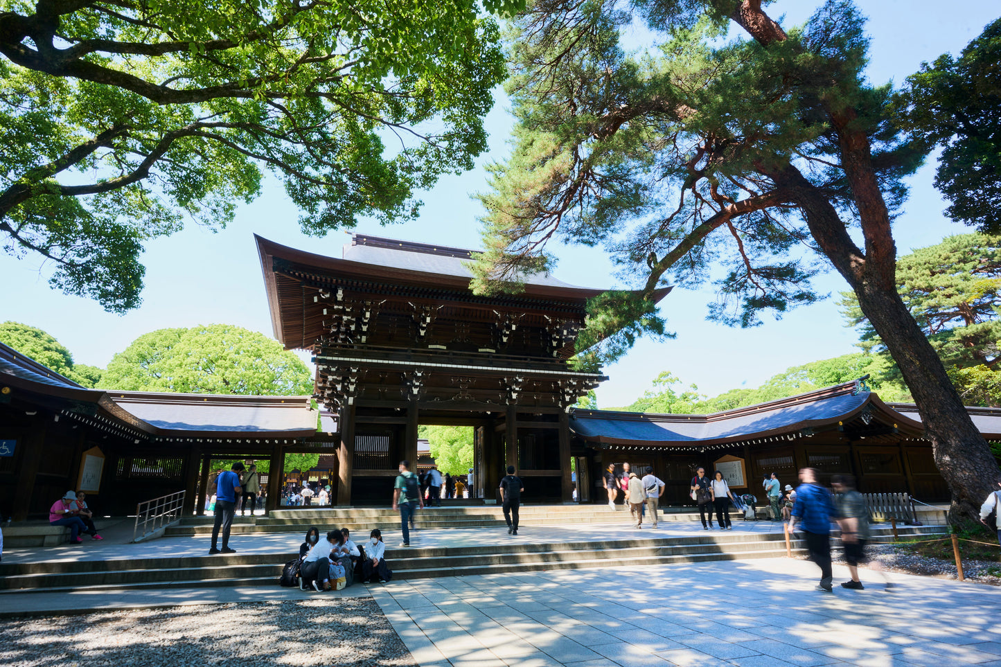 Tokyo: Meiji Shrine Walking Tour — Shinto & Imperial System