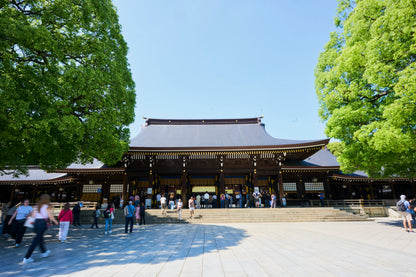 Tokyo: Meiji Shrine Walking Tour — Shinto & Imperial System