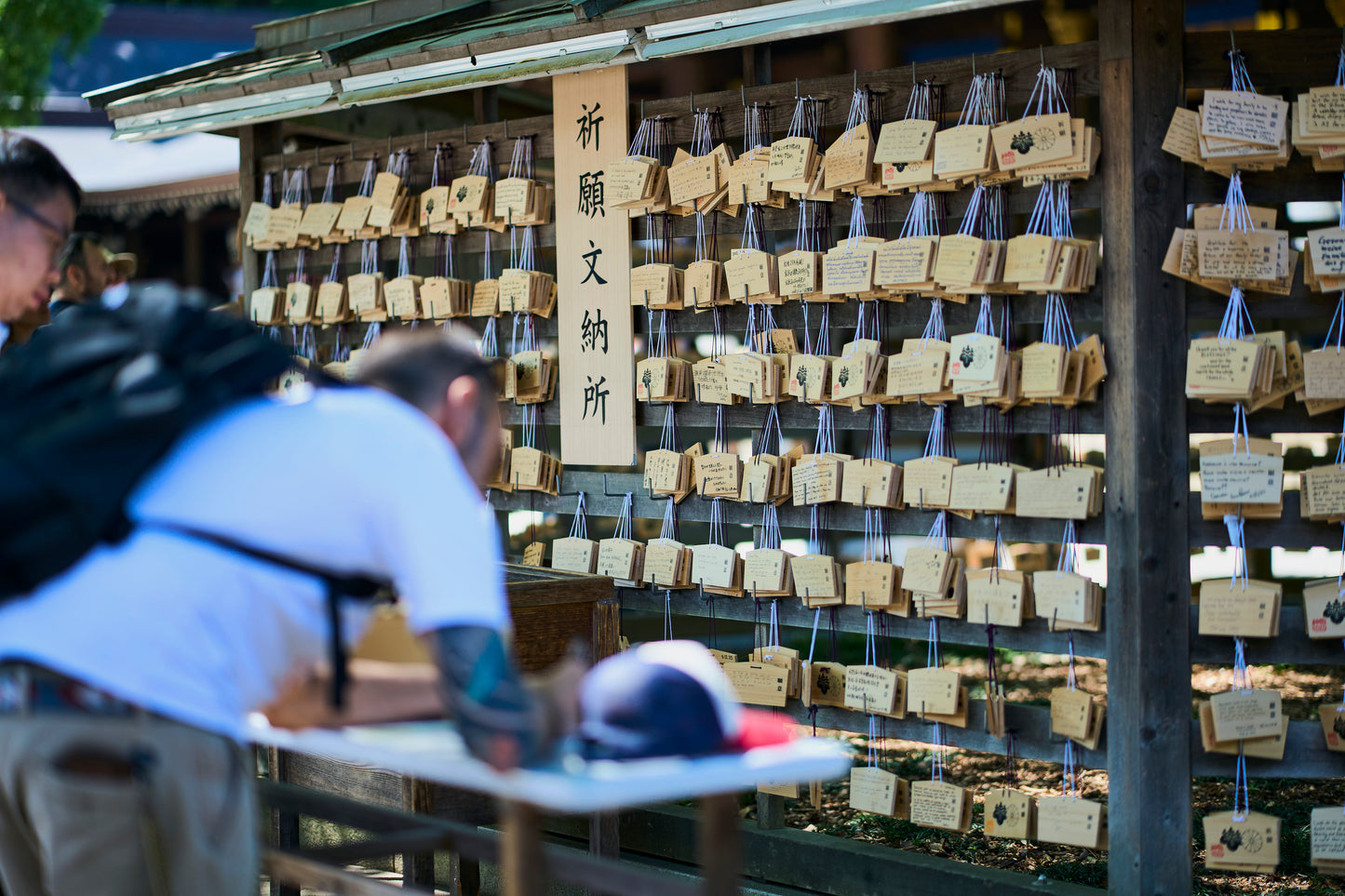 Tokyo: Meiji Shrine Walking Tour — Shinto & Imperial System