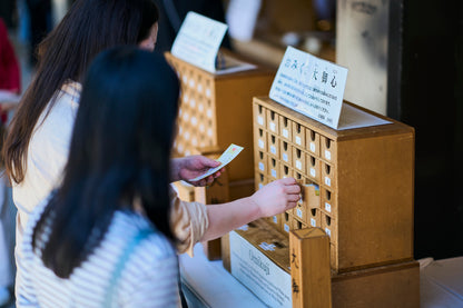 Tokyo: Meiji Shrine Walking Tour — Shinto & Imperial System