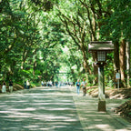 Tokyo: Meiji Shrine Walking Tour — Shinto & Imperial System