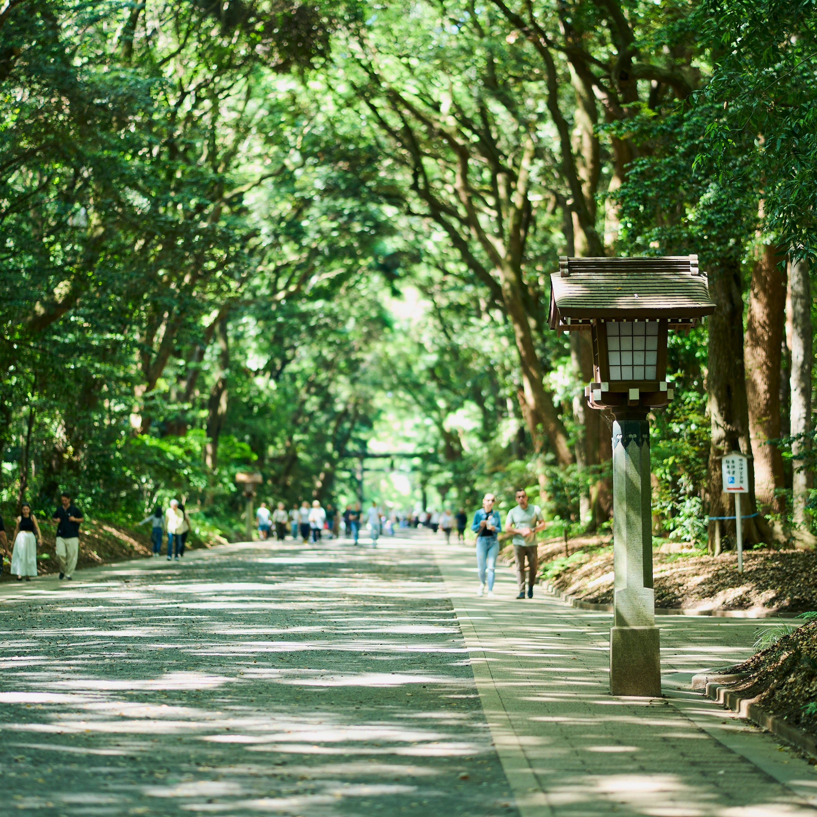 Tokyo: Meiji Shrine Walking Tour — Shinto & Imperial System