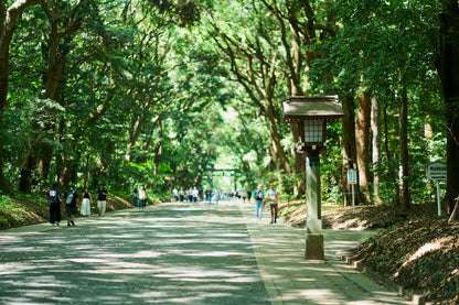 Tokyo: Meiji Shrine Walking Tour — Shinto & Imperial System