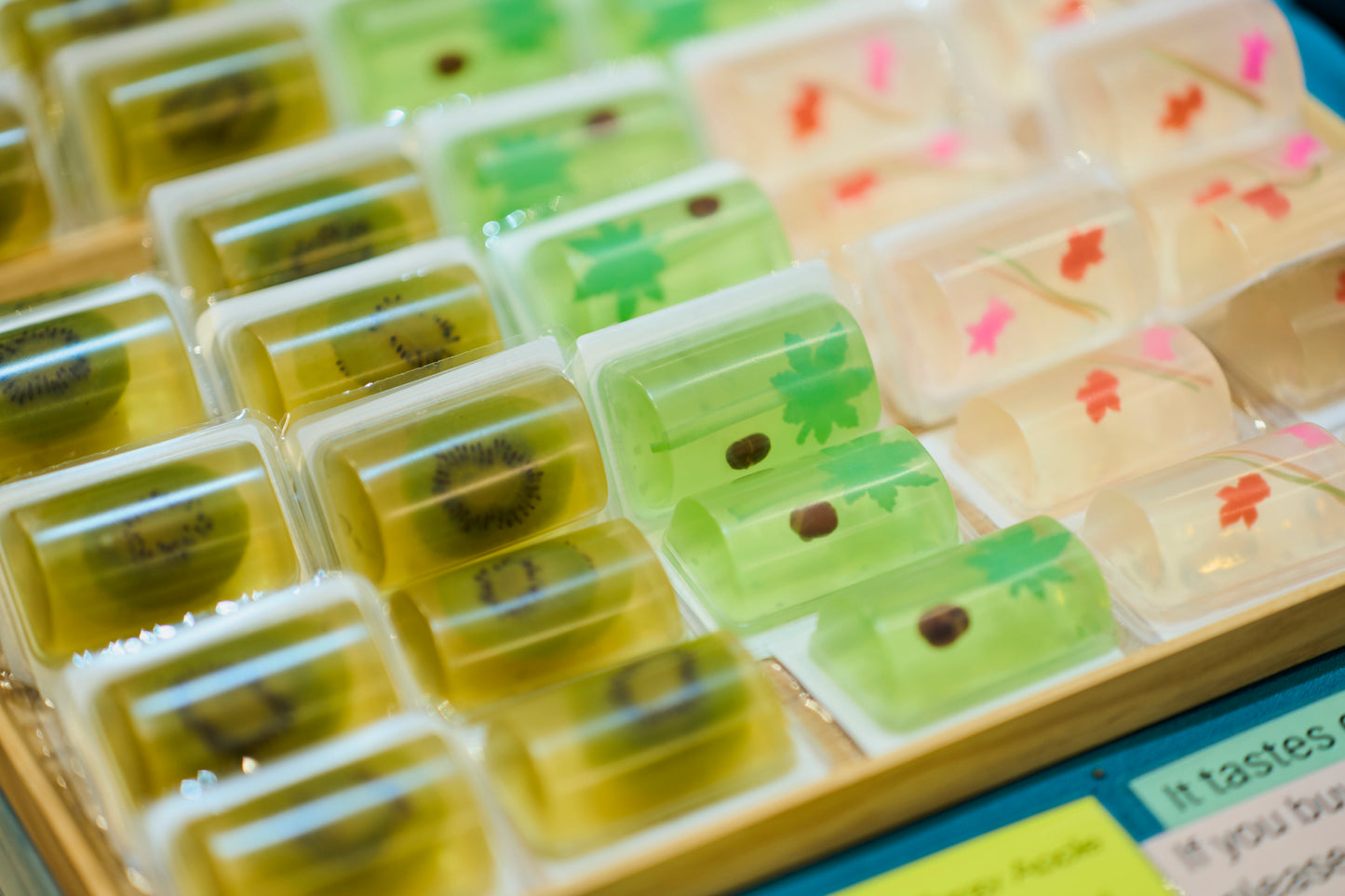 Tokyo: Meiji Shrine Walking Tour — Shinto & Imperial System