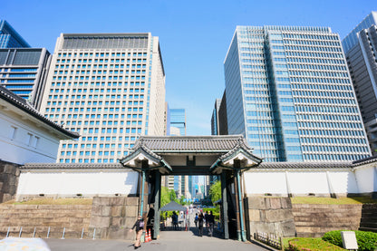 Tokyo Castle & Imperial PalaceーShogun Walking Tour