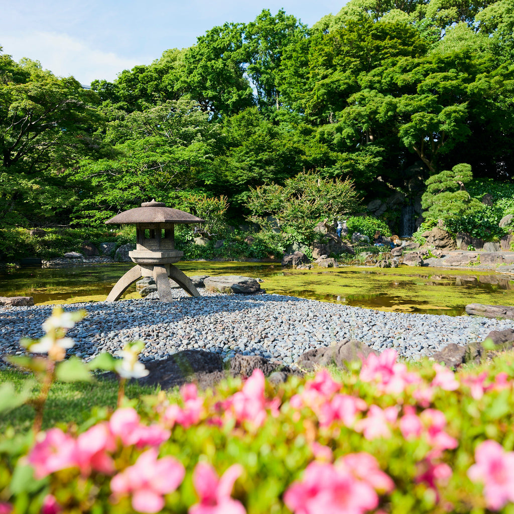 Tokyo Castle & Imperial PalaceーShogun Walking Tour