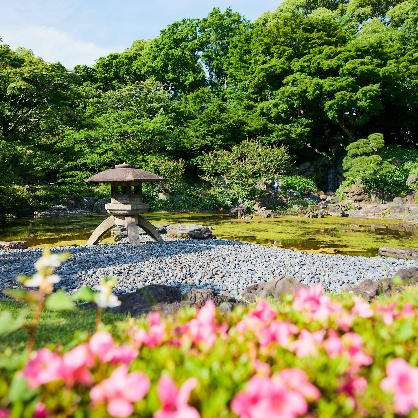 Tokyo Castle & Imperial PalaceーShogun Walking Tour