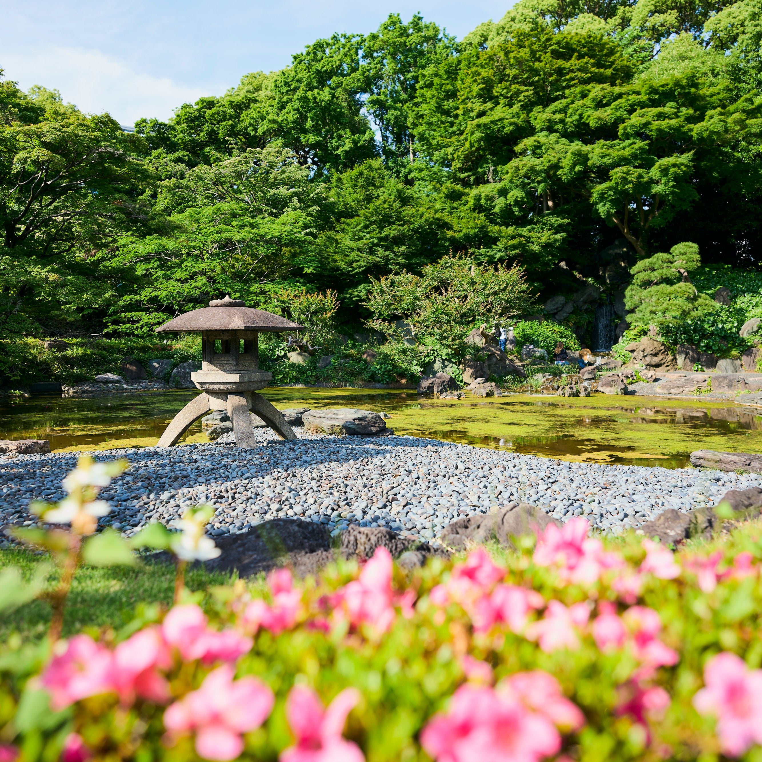 Tokyo Castle & Imperial PalaceーShogun Walking Tour