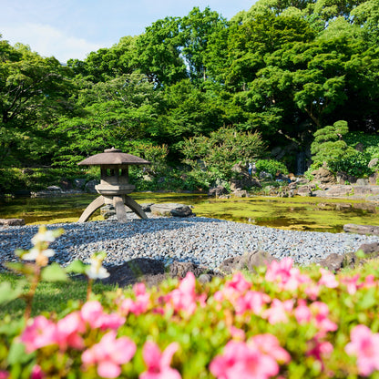 Tokyo Castle & Imperial PalaceーShogun Walking Tour