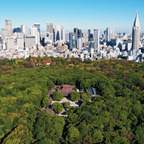 Tokyo: Meiji Shrine Walking Tour — Shinto & Imperial System