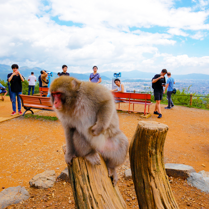 Kyoto: UNESCO World Heritage Arashiyama Walking Tour