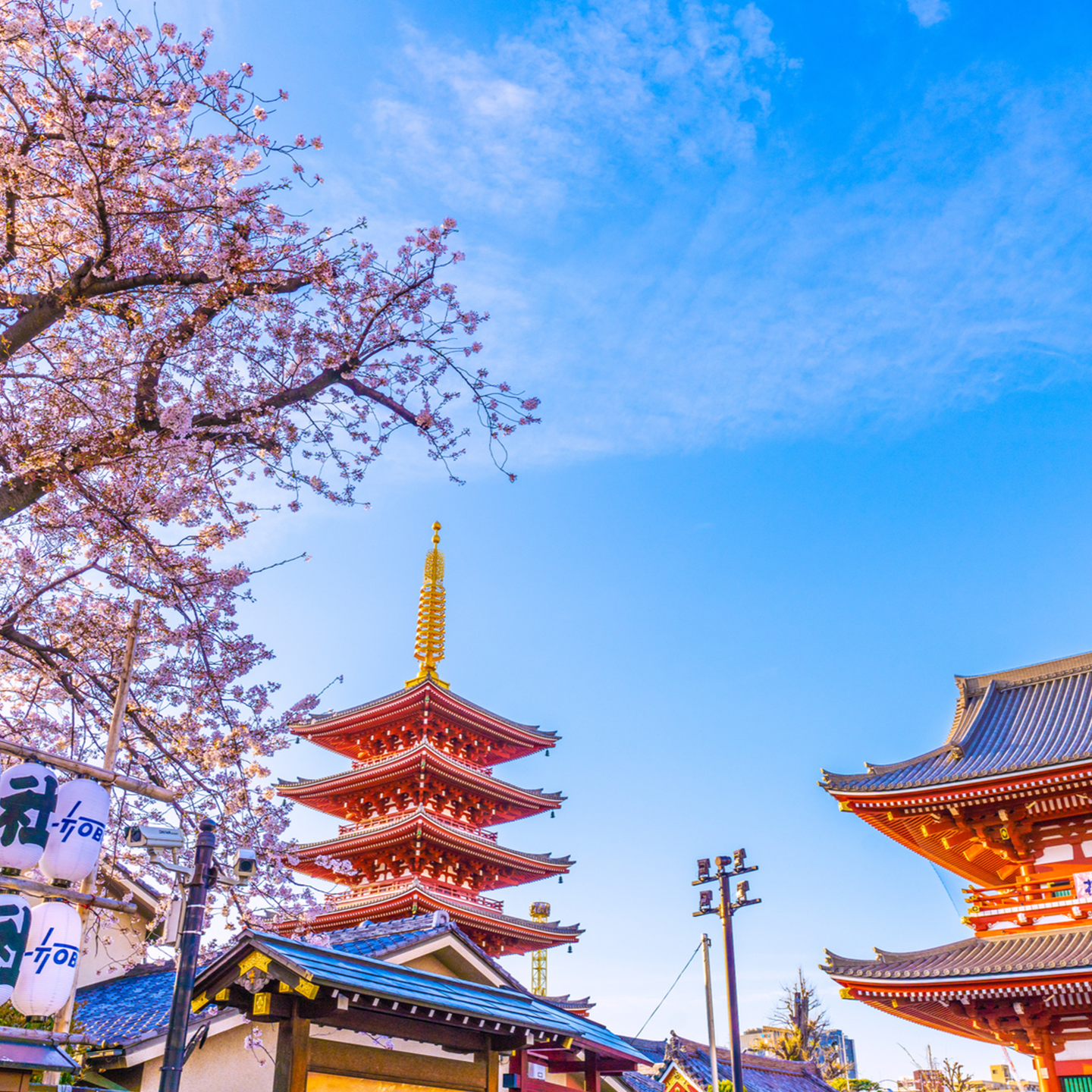 Tokyo: Asakusa & Sensoji ー Oldest Temple Walking Tour (2hrs)