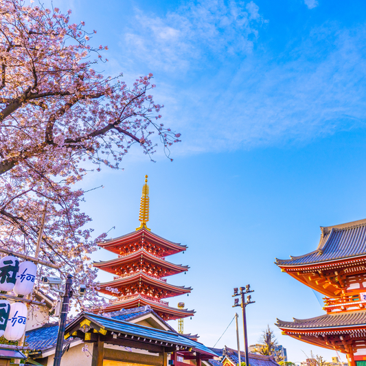 Tokyo : Asakusa & Sensoji Temple Walking Tour with a Local