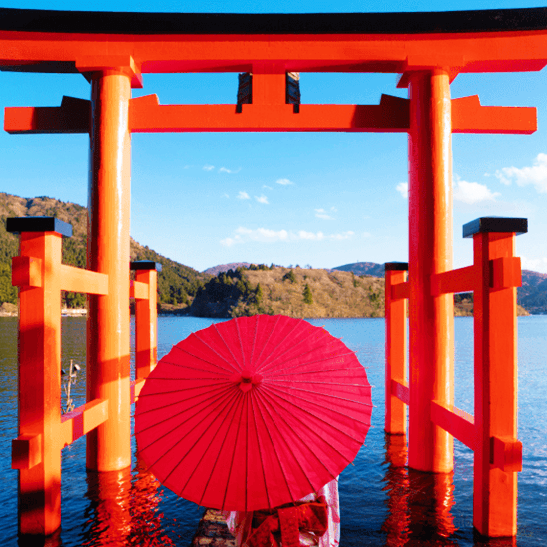 Tokyo: Mt. Fuji Cruise & Hakone Ropeway Day Trip by Bus