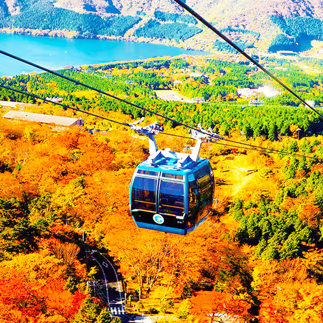 Tokyo: Mt. Fuji Cruise & Hakone Ropeway Day Trip by Bus