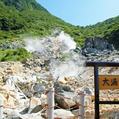 Tokyo: Mt. Fuji Cruise & Hakone Ropeway Day Trip by Bus