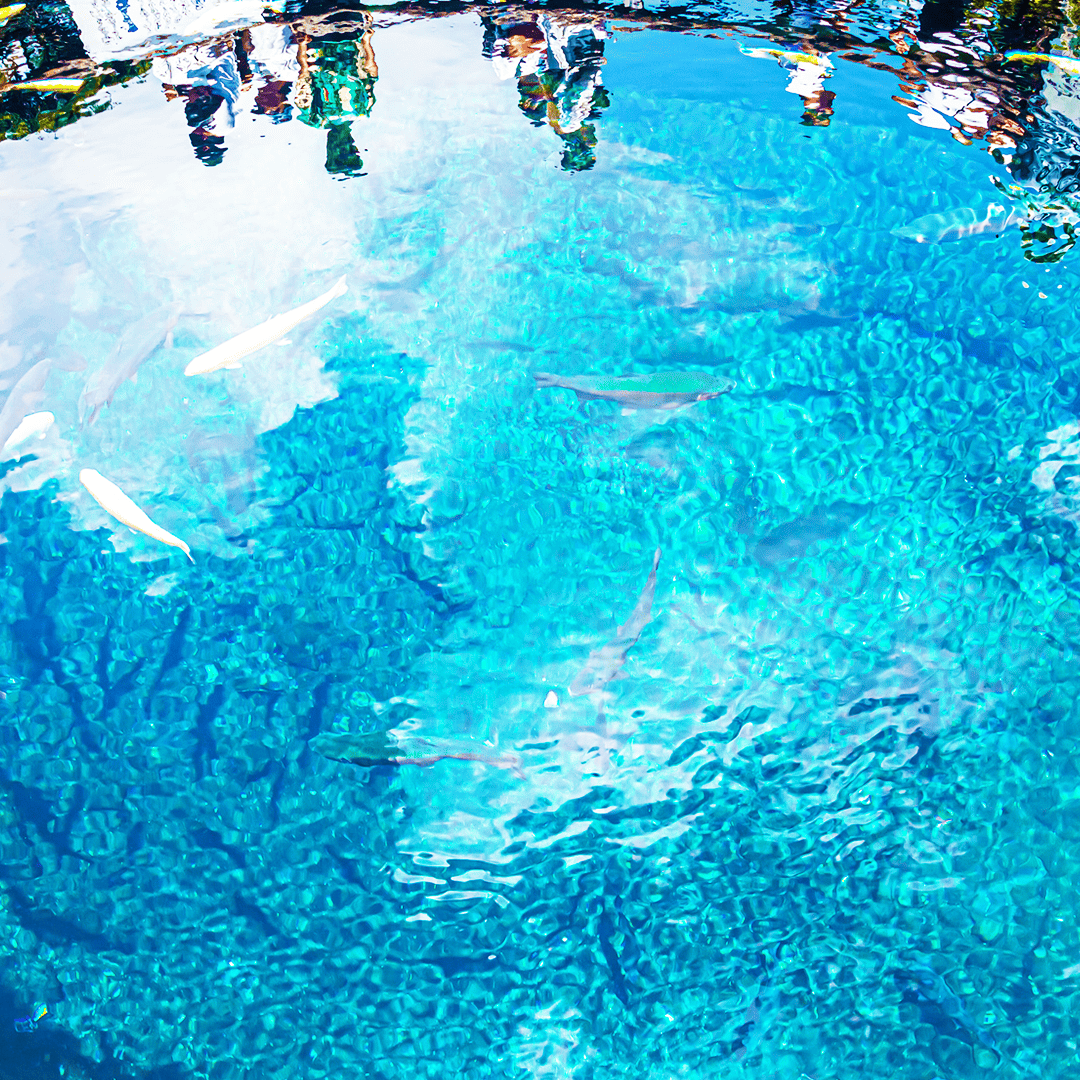 Tokyo: Mt. Fuji Cruise & Hakone Ropeway Day Trip by Bus