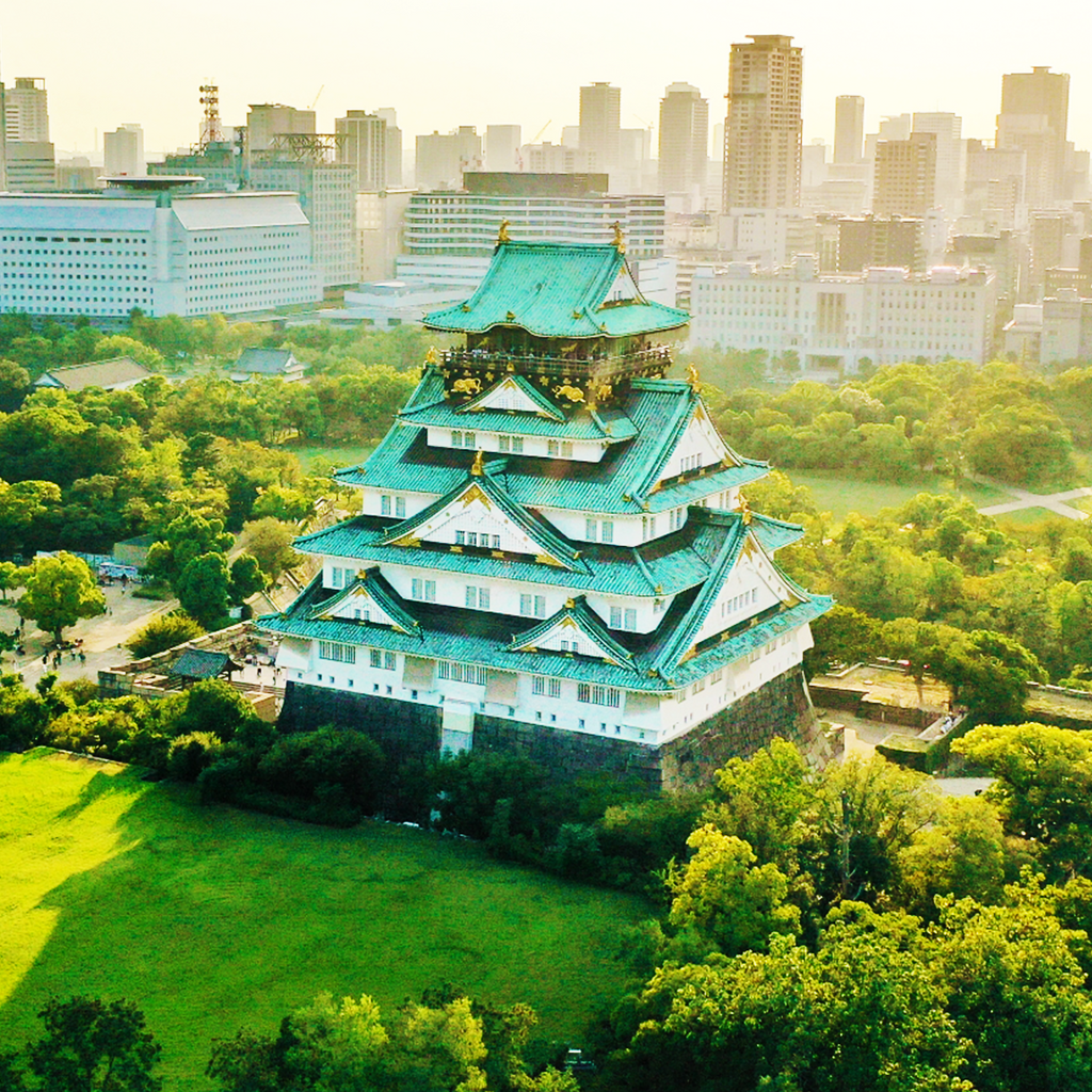 Osaka: Recorrido a pie por la historia del castillo / Entrada a la torre del castillo