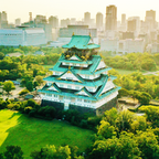Osaka: Recorrido a pie por la historia del castillo / Entrada a la torre del castillo