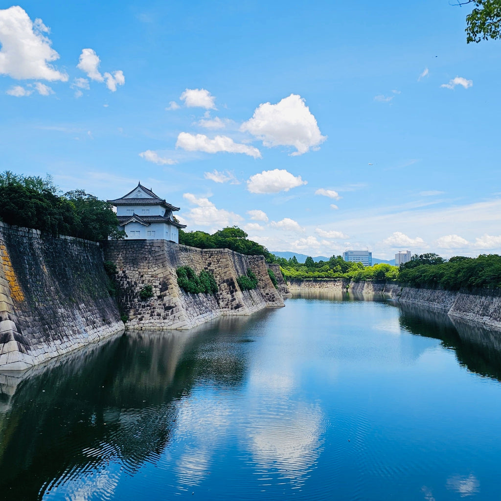 Osaka: Recorrido a pie por la historia del castillo / Entrada a la torre del castillo