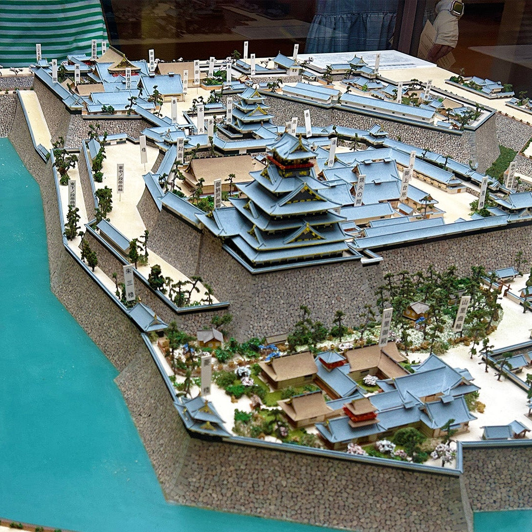 Osaka: Recorrido a pie por la historia del castillo / Entrada a la torre del castillo