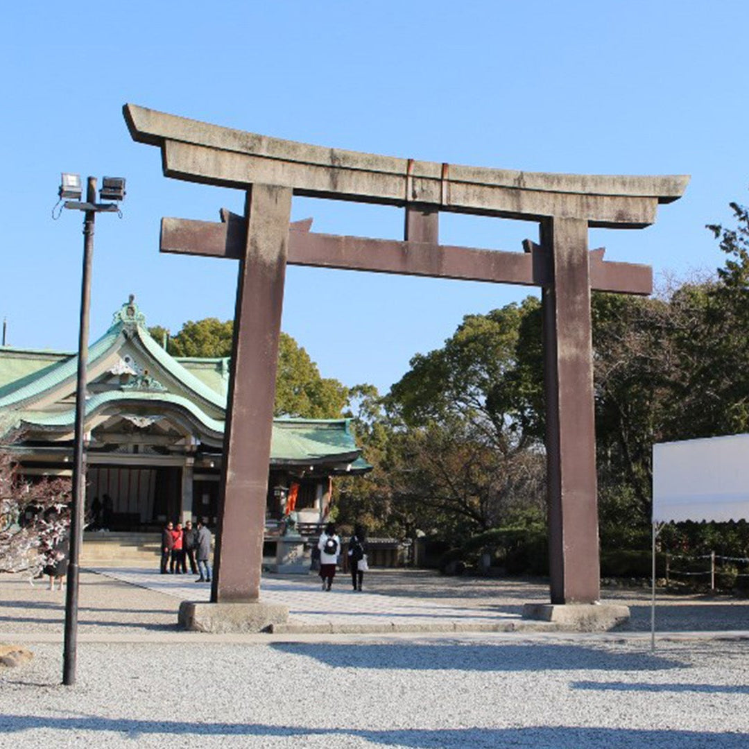 Osaka: Recorrido a pie por la historia del castillo / Entrada a la torre del castillo
