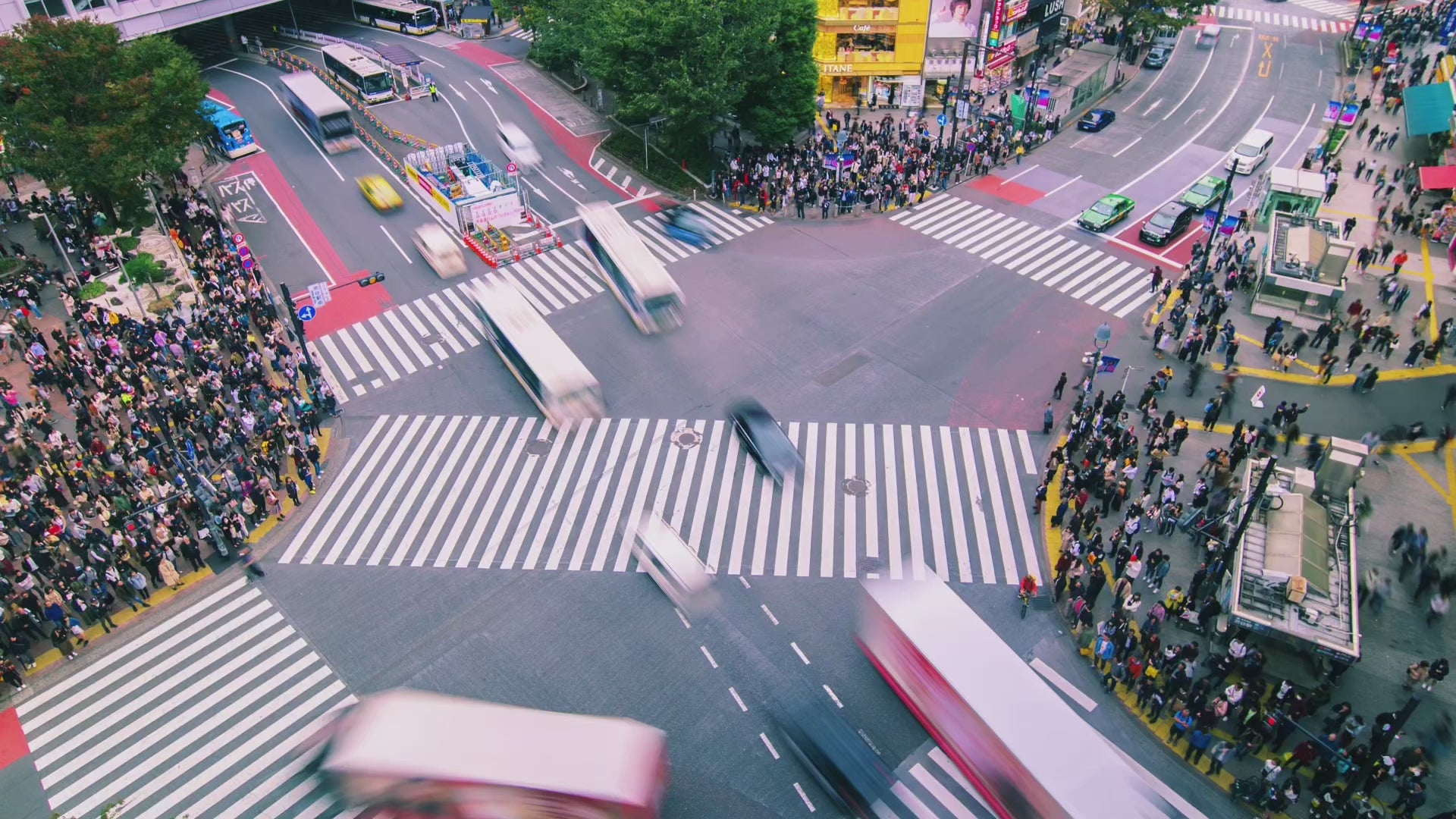Tokyo: Shibuya Highlights Walking Tour & Secret Backstreets