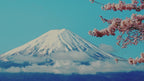 Tokyo: Mt. Fuji Cruise & Hakone Ropeway Day Trip by Bus