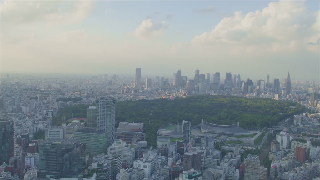 Tokyo: Meiji Shrine Walking Tour — Shinto & Imperial System
