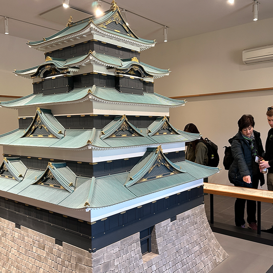 Tokyo Castle & Imperial PalaceーShogun Walking Tour