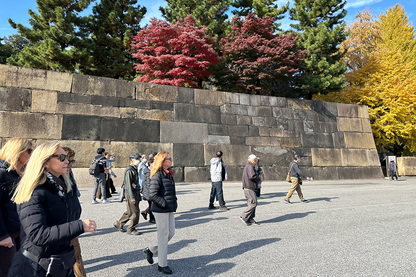 Tokyo Castle & Imperial PalaceーShogun Walking Tour